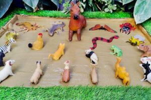 Farmyard Fun: Farm Animals & Insects Expedition for Toddlers | Learning Facts & Names