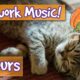 Firework Music for Cats! Relaxing Music for Cats Scared of Fireworks on Thanksgiving, New Years Eve!