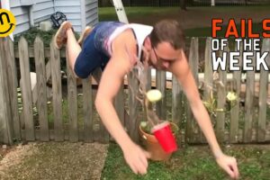 Funniest Fails Of The Week Compilation #37 | Try Not To Laugh