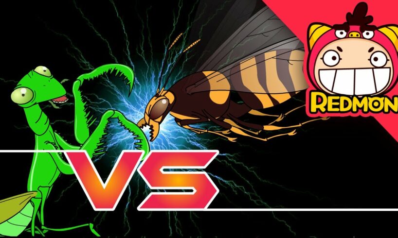 Giant Mantis VS Giant Hornet | Animal battle | zoo | funny video | REDMON