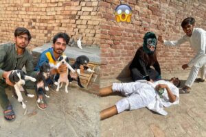 Gorilla Ne Chachu Par Attack Kar Dea 😰 Cute Puppies Le Aye Mini Zoo Ma 😰