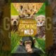 Growing Up Wild (2016)