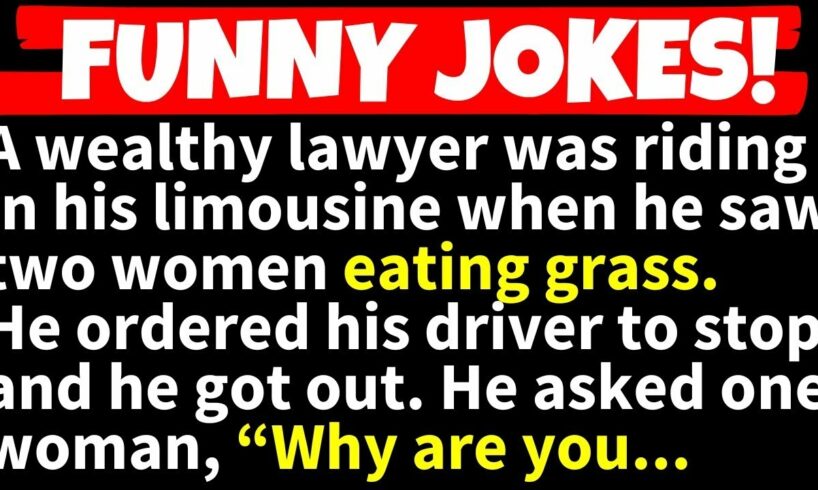 🤣JOKES COMPILATION! - A wealthy lawyer was in his limousine when he saw two women along the roadside