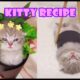 🥰Kitty Recipe💗 Kitty Roll and Sushi - Super cute kitten tiny baby cat Episode 2
