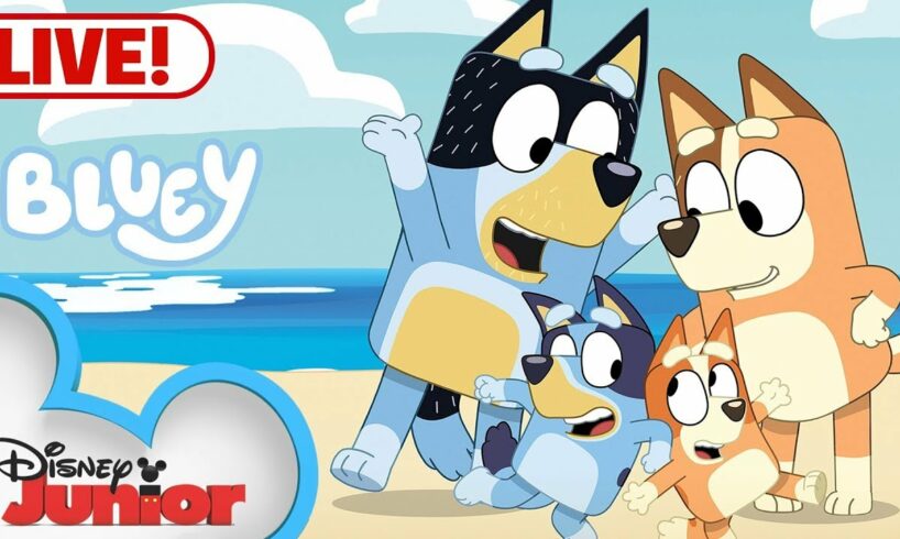 🔴 LIVE! Bluey Full Episodes | NEW Episodes Added | Keepy Uppy, Sleepytime and MORE! |  @disneyjunior