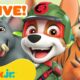 🔴 LIVE: PAW Patrol Animal Rescues & Adventures! 🐯 w/ Tracker | Nick Jr.