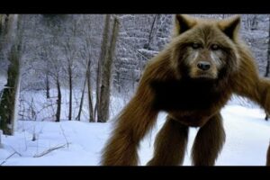 Mega Compilation of Latest Most Disturbing Trail Cam Footage