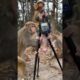 My camera Stan climb monkey baby play #monkey #monkeylove #animals #monkeybaby #funny #monkeymonkey