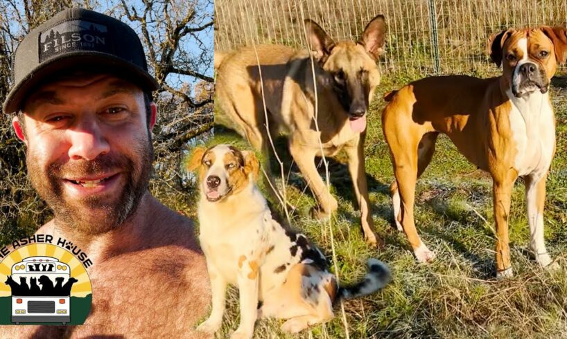 My mission is to show that you can rescue any type of dog from the shelter | Lee Asher