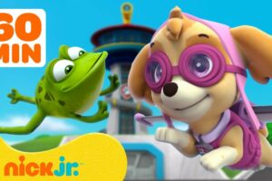 PAW Patrol Lookout Tower Animal Rescues! w/ Skye, Chase & Rocky | 1 Hour Compilation | Nick Jr.