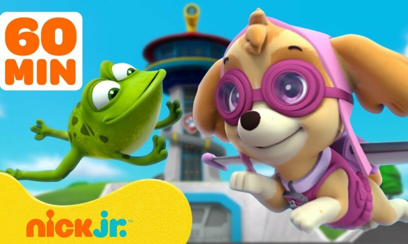 PAW Patrol Lookout Tower Animal Rescues! w/ Skye, Chase & Rocky | 1 Hour Compilation | Nick Jr.