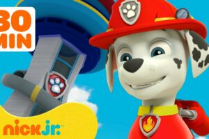 PAW Patrol Marshall's BEST Lookout Tower Rescues! w/ Chase & Skye | 30 Minute Compilation | Nick Jr.