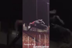 People Are Awesome #3