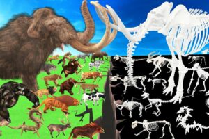 Prehistoric Animals Epic Battle Animals vs Skeleton Itself Mammals Animal Revolt Battle Simulator