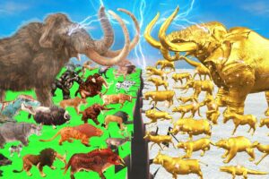 Prehistoric Animals Epic Battle Real Life Animals vs Golden Mammals Animal Revolt Battle Simulator