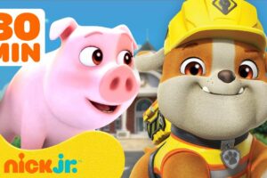 Rubble & Crew's BEST Animal Rescues In Builder Cove! w/ Chase | 30 Minute Compilation | Nick Jr.