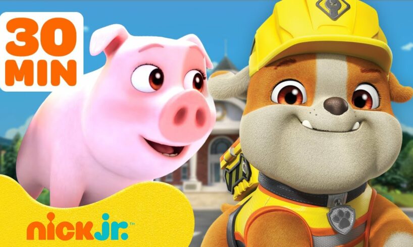 Rubble & Crew's BEST Animal Rescues In Builder Cove! w/ Chase | 30 Minute Compilation | Nick Jr.