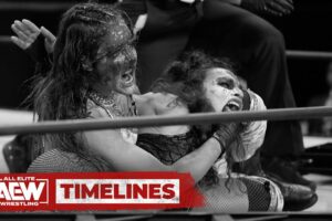 STREET FIGHT! A look back at some of the best fights from the AEW Women's Division! | AEW Timelines