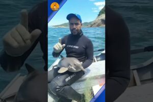 Scared baby dolphin rescued after getting caught in a net ❤️