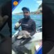 Scared baby dolphin rescued after getting caught in a net ❤️