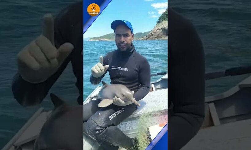 Scared baby dolphin rescued after getting caught in a net ❤️