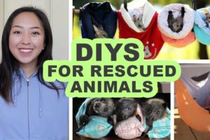 Sewing DIYs for Rescued Animals | Beds, bags, pouches, and wraps!