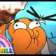 Spit it out, now! | Gumball Mega Compilation | Cartoon Network