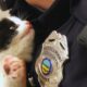 The officer rescues a stray cat, but the cat clings to him and is determined to be adopted...