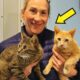 The woman went  to adopt one cat, but she ended up adopting two brothers, when she discovered...