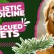 Using Holistic Medicine at an Animal Rescue with Stacey Buc of Mama Dog Rescue