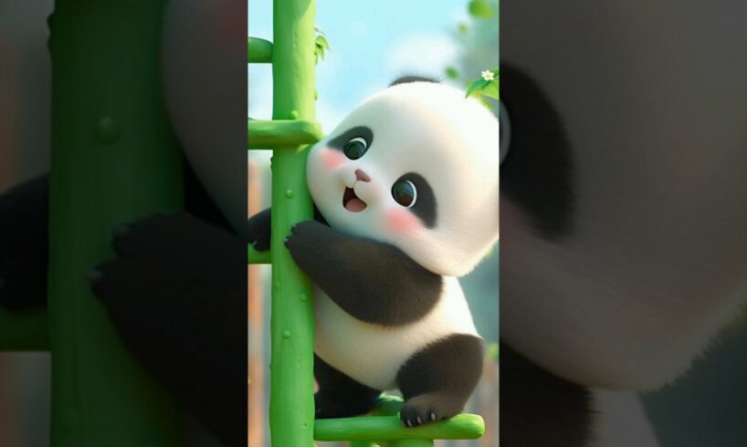 cute panda's./#shorts#viral#cute#puppies#panda#music#edit#trending