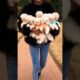 cutest puppies 😍😍|#shorts #viral #ytshorts #puppy