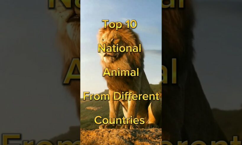 "top 10 national animal from different countries " #shorts #top #nationalanimals #animals