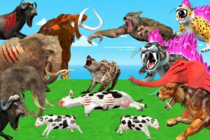 10 Zombie Tiger vs 3 Wolf Man Attack Gorilla Fight Baby Cow Saved by Woolly Mammoth Elephant