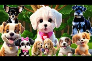 15 Minutes of the World's Cutest Puppies | 15 Minutes of Adorable Puppies | Cute and Funng Dogs