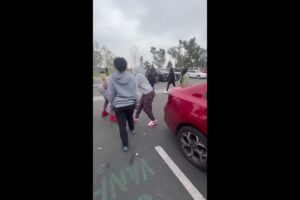 Hood Girl Street Fights