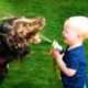 20 Minutes of HILARIOUS Babies Laughing With Pets 😹 | Kids and Animals 💕