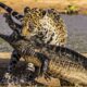 30 Brutal Moments Of Vicious Jaguar Fighting Crocodile | Wild Animal Fights