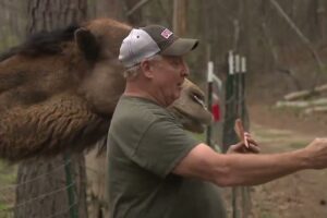 Alabama Champion: Serenity Farm provides sanctuary for rescued exotic animals