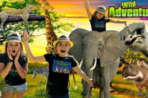 All About Wild Animals | ZOO ANIMALS for Kids |  BEST ANIMAL ADVENTURE Park!