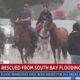 Animals Rescued From South Bay Flooding