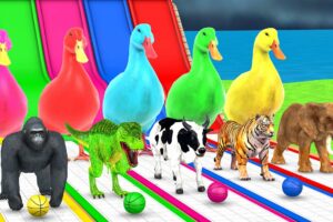 Basket Ball Game Game With Cow Elephant Gorilla Tiger Dinosaur Wild Animals Escape Cage Tire Game