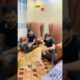Boy playing with tiger in form house #shorts #short #animals#viral
