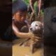 Boy rescues puppy in pok 10