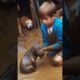 Boy rescues puppy in pok 6