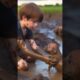 Boy rescues puppy in pok 9