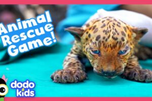 Can YOU Help These Animal Moms Rescue Their Babies? | Dodo Kids | Story Game