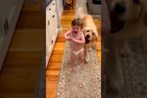 Cute baby enjoys playing with dog 🤭🥰🤭 #shorts #shortsfeed #cute #baby #cutebaby #trending