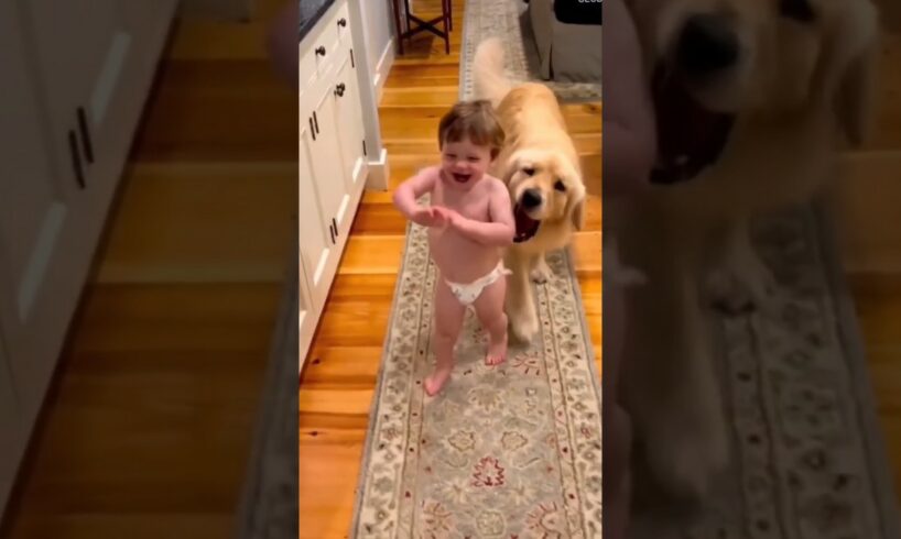 Cute baby enjoys playing with dog 🤭🥰🤭 #shorts #shortsfeed #cute #baby #cutebaby #trending