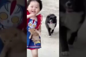 Cute 🥰🥰🥰🥰#kids#cute#puppies#kittens#comedy#chicks#shorts#shortsfeed